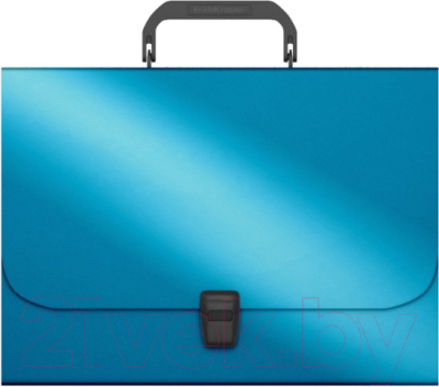 

Папка-портфель Erich Krause, Matt Ice Metallic / 53300