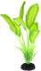 Декорация для аквариума Barbus Эхинодорус Блейхери / Plant 037/30 (зеленый) - 