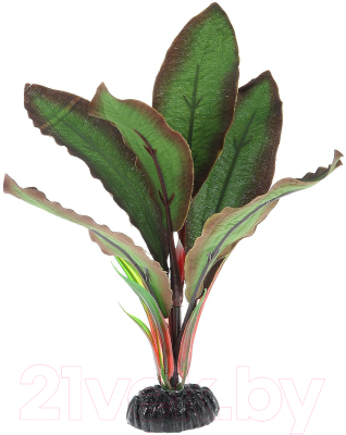 

Декорация для аквариума Barbus, Криптокорина Бекетти / Plant 040/30
