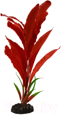 Декорация для аквариума Barbus Апоногетон Мадагаскарский / Plant 041/30 (красный)