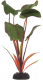 Декорация для аквариума Barbus Эхинодорус Бархатный / Plant 043/30  - 
