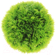 Декорация для аквариума Barbus Шар / Plant 061 (зеленый) - 