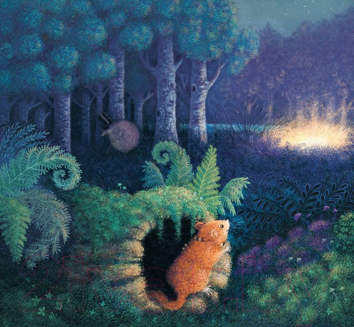 Художественная книга Попурри Звёздочка (Минор М., Вехтерович П.) — фото 3