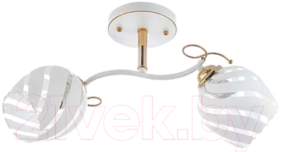 

Потолочный светильник Aitin-Pro, НПБ N3313/2