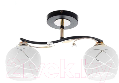 

Потолочный светильник Aitin-Pro, НПБ MH35682/2