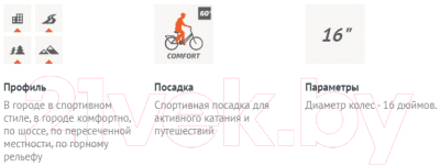 Детский велосипед Forward Cosmo 16 2.0 2021 / 1BKW1K7C1011 (серый)