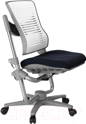 

Кресло растущее Comf-Pro, Angel Chair