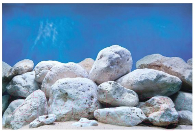 Декорация для аквариума Barbus Водный сад. Яркие камни / Background 017