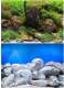 Декорация для аквариума Barbus Водный сад. Яркие камни / Background 017 - 