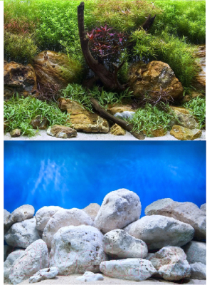 Декорация для аквариума Barbus Водный сад. Яркие камни / Background 018