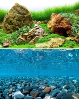 Декорация для аквариума Barbus Горная река. Зеленое море / Background 020 - 