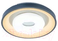 Потолочный светильник Aitin-Pro H6606/500 O