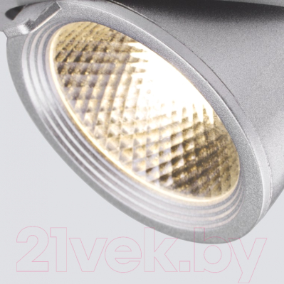 Точечный светильник Elektrostandard 9918 LED 9W 4200K (серебро)
