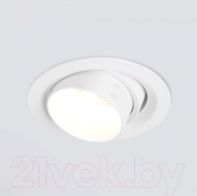 

Точечный светильник Elektrostandard, 9919 LED 10W 4200K