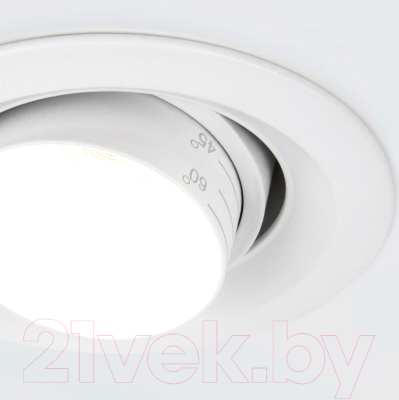 Точечный светильник Elektrostandard 9919 LED 10W 4200K (белый)