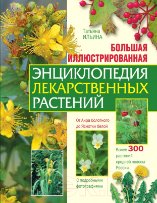 Книга Эксмо Лекарственные растения (Ильина Т.)