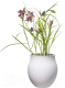 Миниатюра изображения товара Ваза Villeroy & Boch Collier Blanc / 10-1681-5511 (белый)