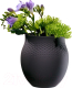 Миниатюра изображения товара Ваза Villeroy & Boch Collier Noir / 10-1682-5511 (черный)