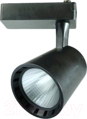 Трековый светильник JAZZway 5010628 (черный)