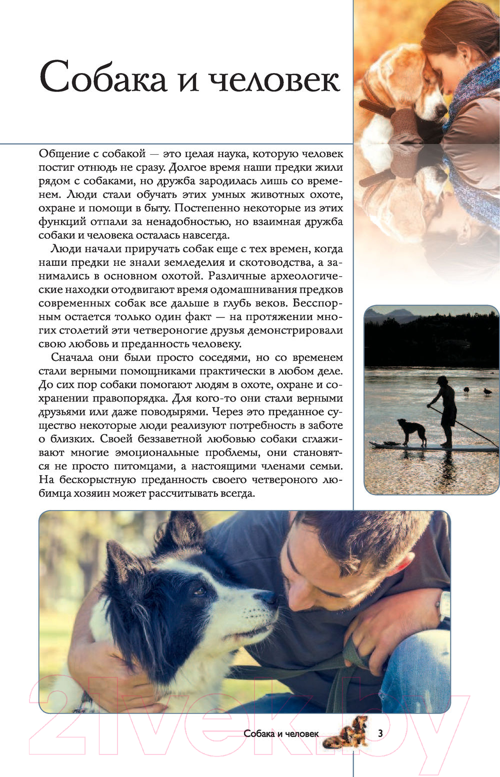 Книга АСТ Собаки. Популярный иллюстрированный гид (Барановская И.) — фото 2