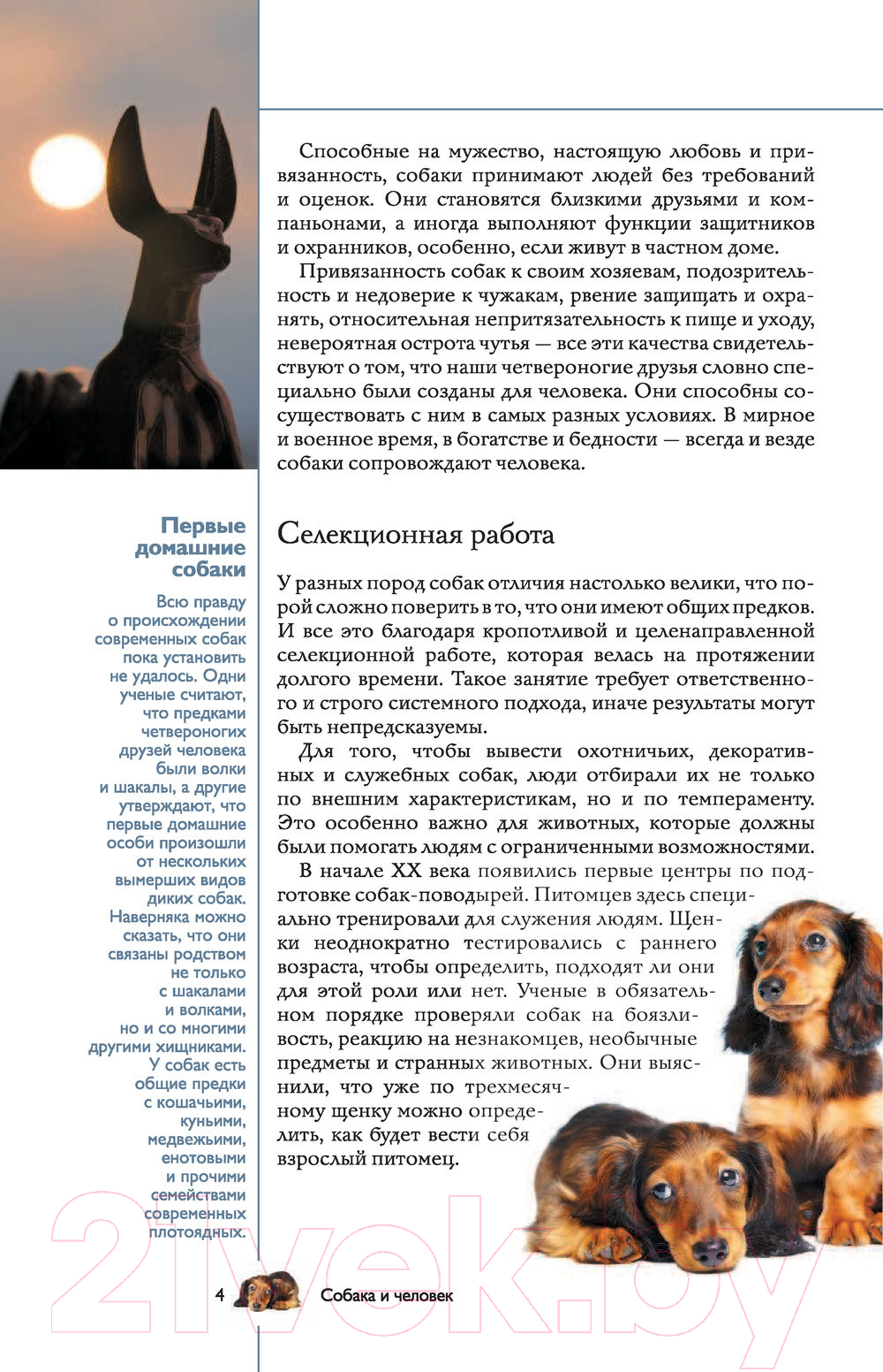 Книга АСТ Собаки. Популярный иллюстрированный гид (Барановская И.) — фото 3