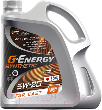 Моторное масло G-Energy Synthetic Far East 5W20 / 253142528 (4л)
