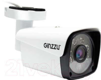 IP-камера Ginzzu HIB-2301S