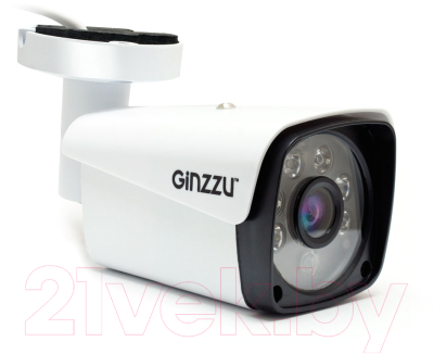 IP-камера Ginzzu HIB-2301S