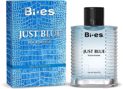 Туалетная вода Bi-es Just Blue Pour Homme (100мл)