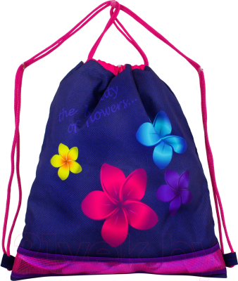 Школьный рюкзак DeLune 6-117 (фиолетовый)