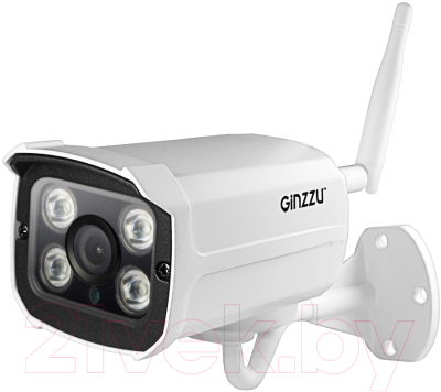 IP-камера Ginzzu HWB-2032A