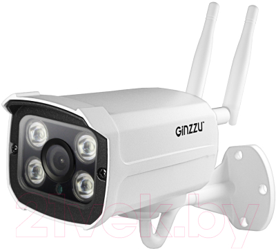 IP-камера Ginzzu HWB-2033A