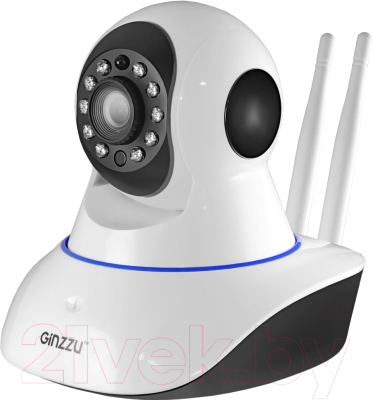 IP-камера Ginzzu HWD-2032A