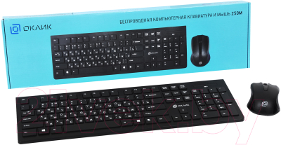 Клавиатура+мышь Oklick 250M (черный)