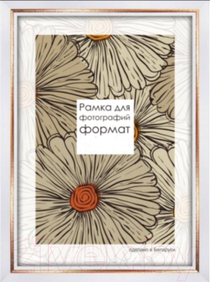 

Рамка ПАЛИТРА, 2219/65 40x50