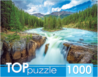 

Пазл РЫЖИЙ КОТ, Канада. Национальный парк Джаспер / ГИТП1000-2152