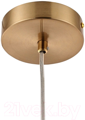 Потолочный светильник Arte Lamp Cameron A7720SP-1AB