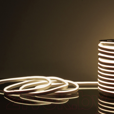 Изображение товара Гибкий неон Elektrostandard LS001 220V 9.6W 120Led 2835 IP67 4200K (50м, дневной белый)