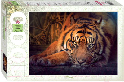 Пазл Step Puzzle Сибирский тигр / 79142 (1000эл)