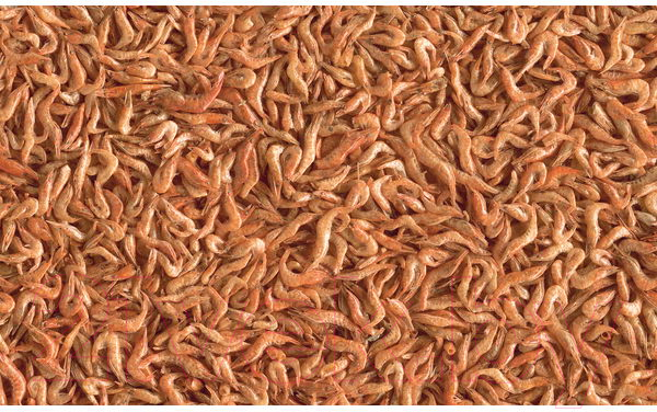 Корм для рептилий Tetra ReptoDelica Shrimps / 169241/708934 (250мл) — фото 2