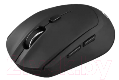 Мышь Acer OMR050 / ZL.MCEEE.00B (черный)