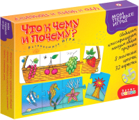 

Развивающая игрушка Дрофа-Медиа, Что к чему и почему / DR-1790