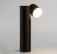 Прикроватная лампа Евросвет 80425/1 (черный) - 