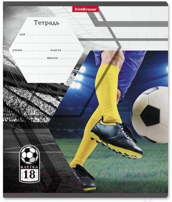 Изображение товара Тетрадь Erich Krause Dribbling / 52936 (18л, клетка)