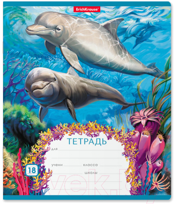 

Тетрадь Erich Krause, Подводный мир / 46593