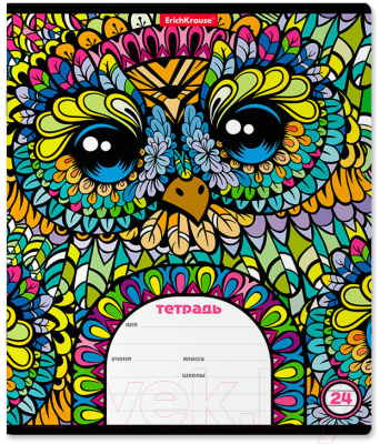 

Тетрадь Erich Krause, Owls / 46619