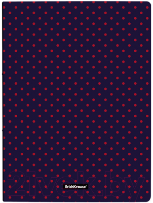 

Папка для бумаг Erich Krause, Dots In Blue / 52757