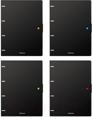 Изображение товара Тетрадь Erich Krause Accent / 51430 (80л, клетка)