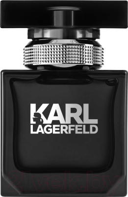 Туалетная вода Karl Lagerfeld For Him (30мл)
