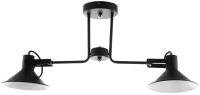 Потолочный светильник Aitin-Pro НПБ C1013/2 (черный/белый) - 